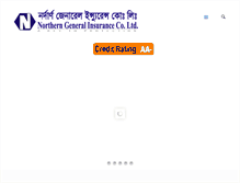 Tablet Screenshot of ngicl.com